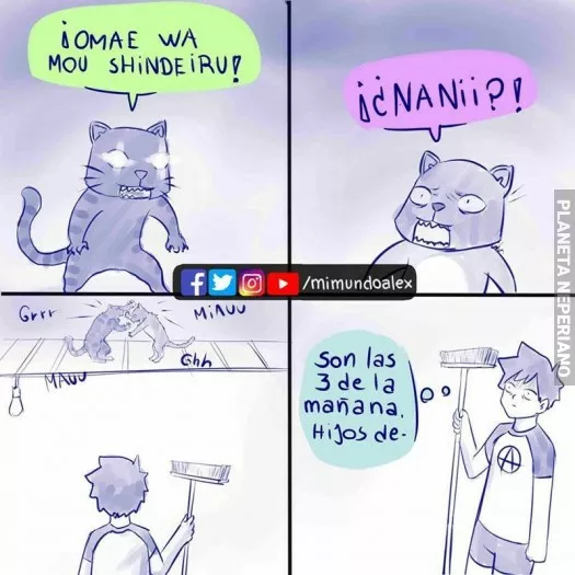 ¿Eso quiere decir que los gatos que peleen cerca de mi casa hablan japones :/?...