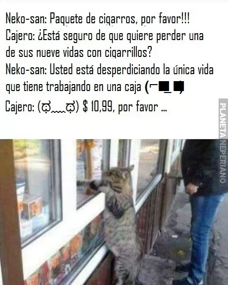 Neko-san sale de compras...