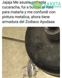 Cuando una cucaracha usa una armadura de plata entonces sabes que valiste verga