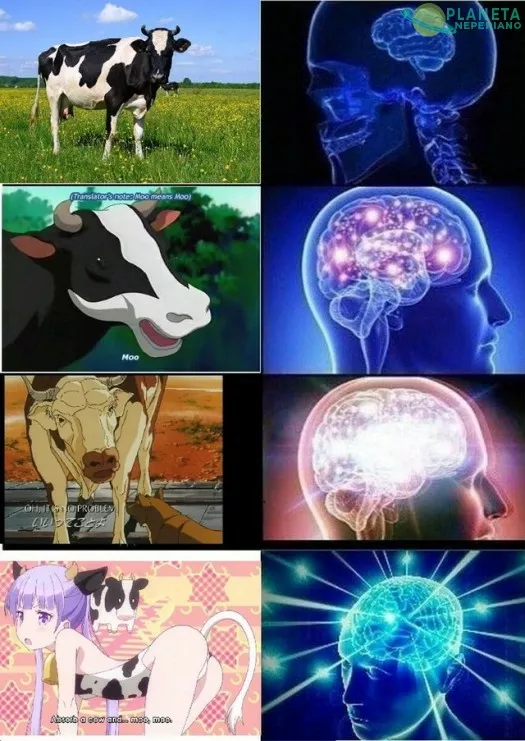 MOO