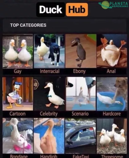 Porno de Patos :v