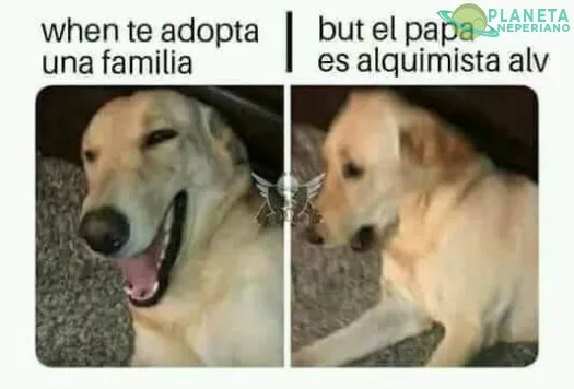 (┛◉Д◉)┛彡┻━┻  