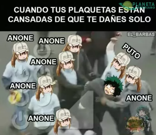 Deku ha abusado demasiado de estas waifus plaquetas