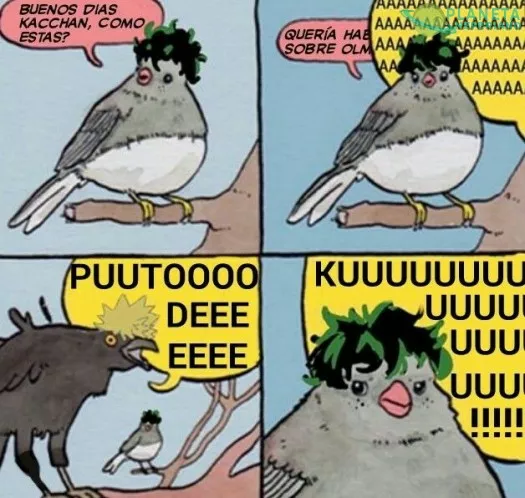 Pobre Midoriya