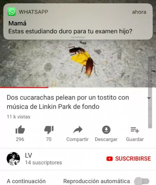 seguro que los pasa :v