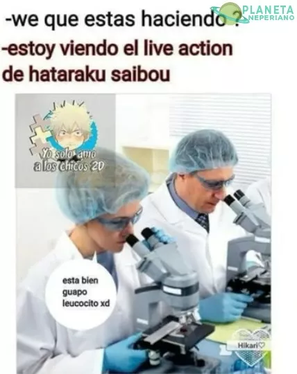 Y claro está,  como todo live action,  suele ser decepcionante