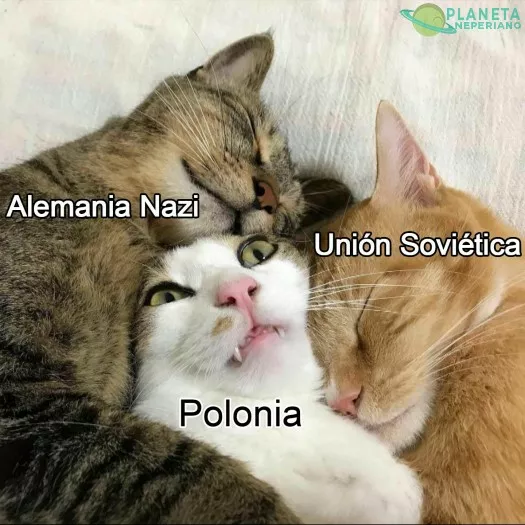 Se nota que Polonia no la pasó muy bien :v