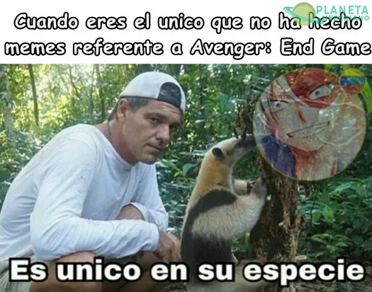 pero en realidad es un meme de Avenger - End Game