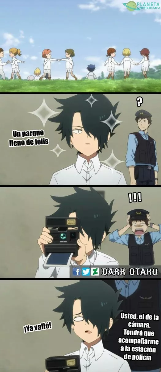 c mamo