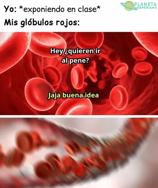 Malditos. >:v