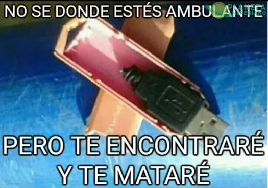 La cacería comienza