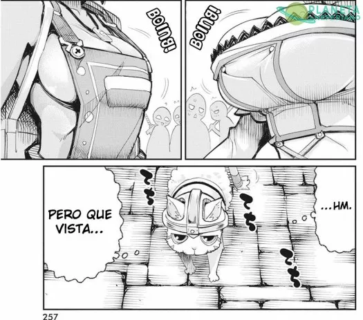 concuerdo con el gato