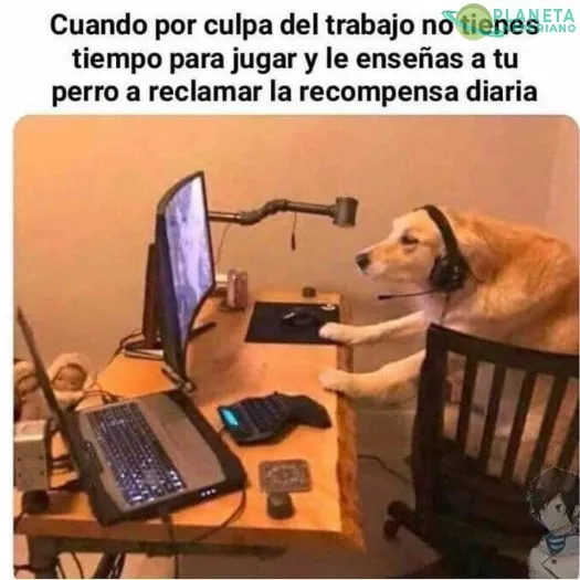 El mejor amigo del hombre