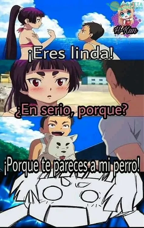 No entiendo porque se enojó xD
