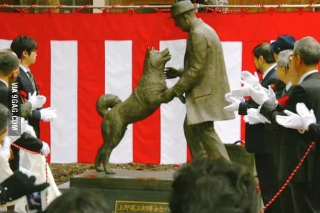 hachi se reúne con su dueño