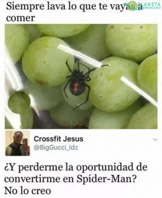 No creo que la picadura de esa araña te convierta en spiderman :v