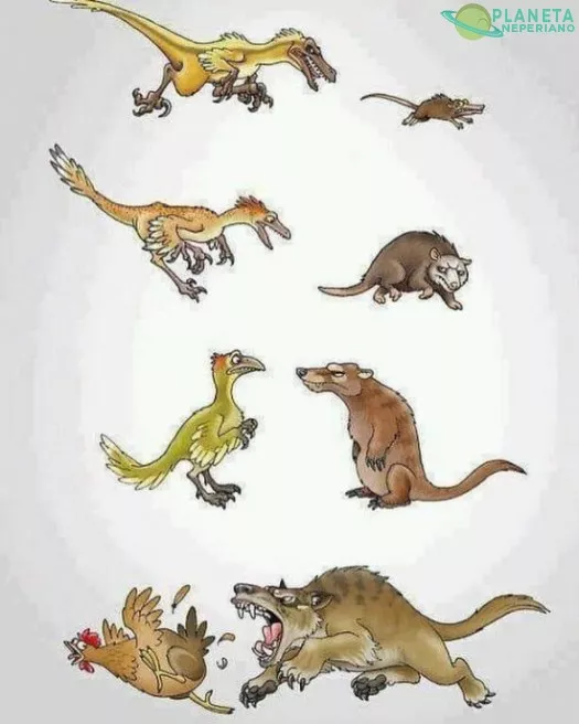 ¡Ja!... evolucion