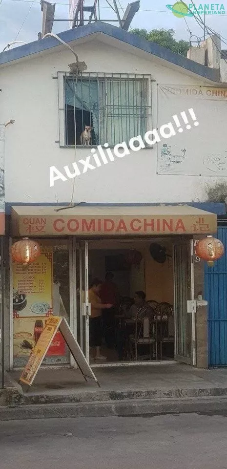 [Gastronomía de China Intensifies]...