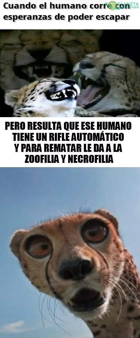 En resumen: valió verga :v