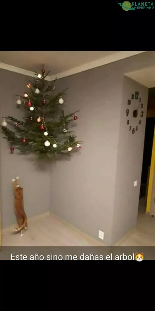 Está navidad no te llevaras el árbol por delante,  cochino gato