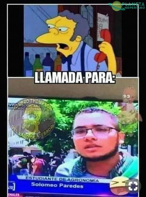 Hasta en eso predicen bien esos monos amarillos