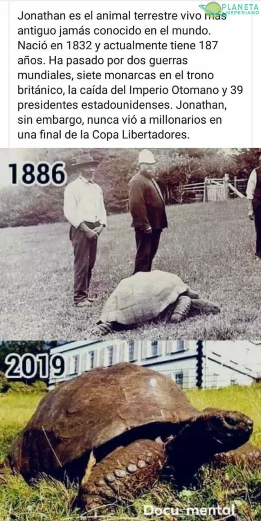 Y jamás lo verá.