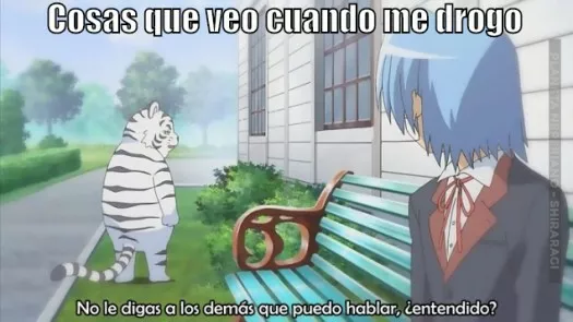 Cuando un tigre se para y habla es tiempo de dejar las drogas