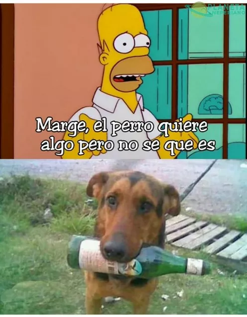 El perro quiere reciclar :v