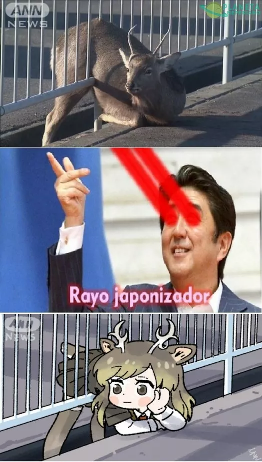 Rayo japonizador versión navideña