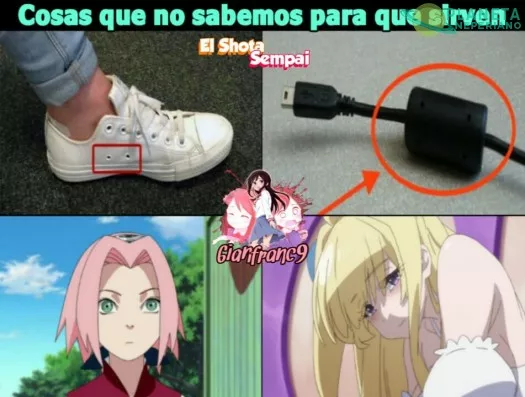 por que nacieron