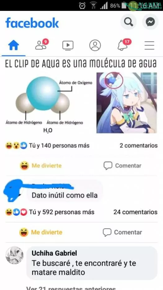 No me insulten a la diosa inútil del agua 