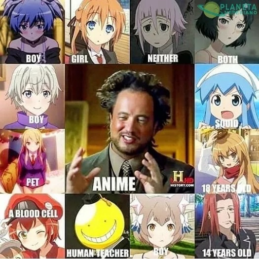 Nada tiene sentido