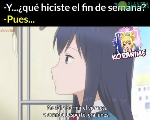 Yo todo diciembre