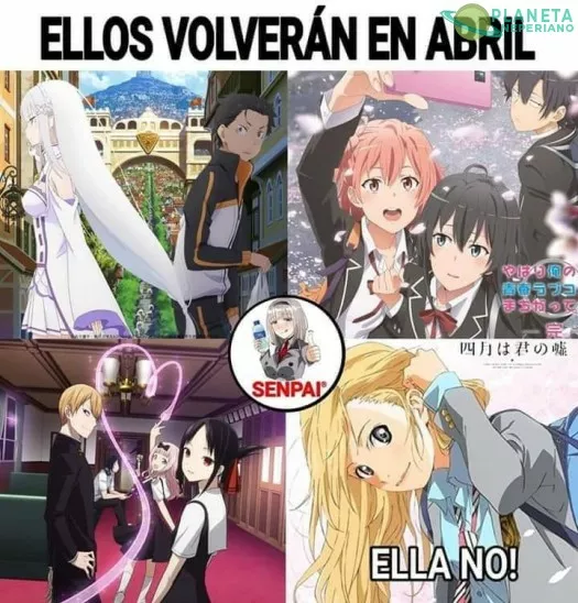 la felicidad es un mito