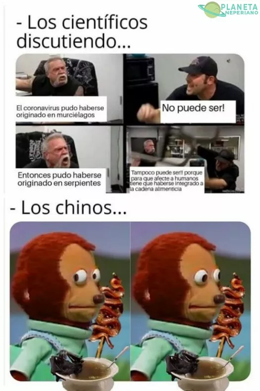 Chinos everywhere