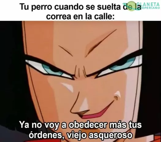 volveras cuando tengas hambre