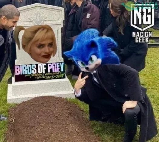 El erizo gano… bueno, su competencia tampoco era la gran cosa