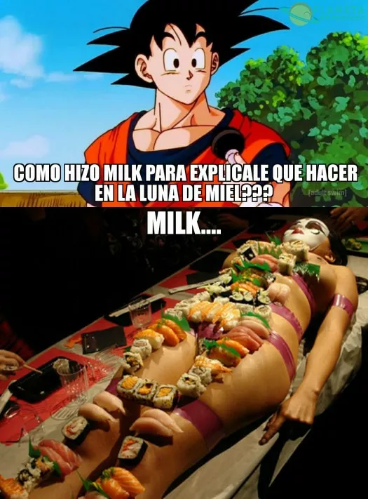 Razon explicada