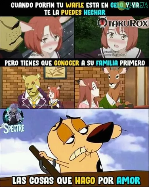 Que huevos los del león 