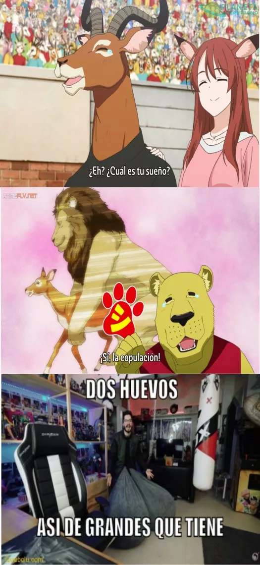 No por nada es el REY !!!!