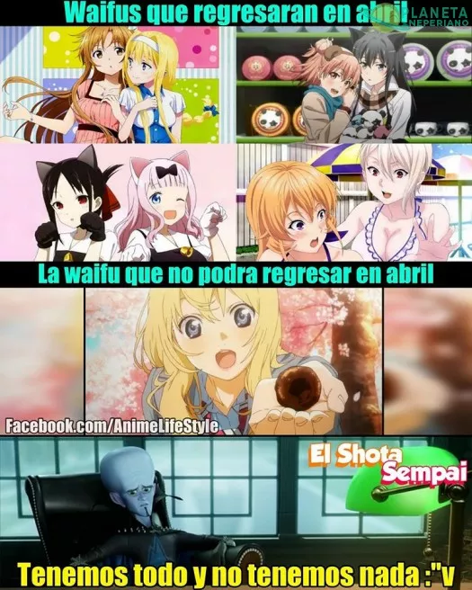 regresa la basura sobrevalorada pero no regresa la que mas importa .-.