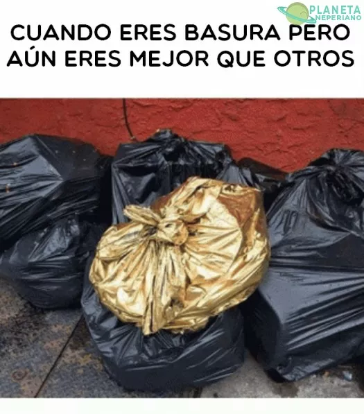  este meme - descripción gráfica （＾∀＾）