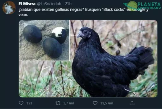 Y tienen unos huevos negros enormes