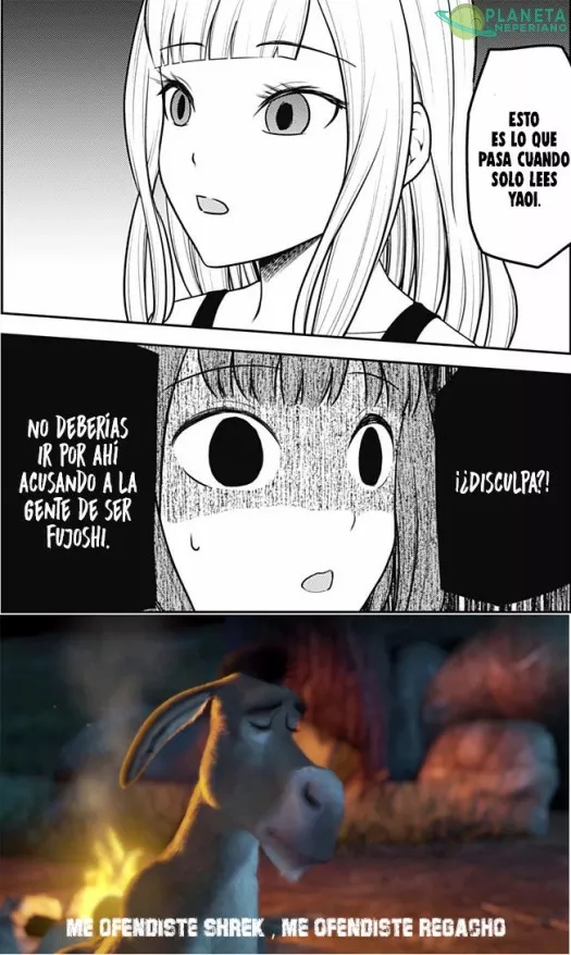 Cuando te acusan de ser fujoshi