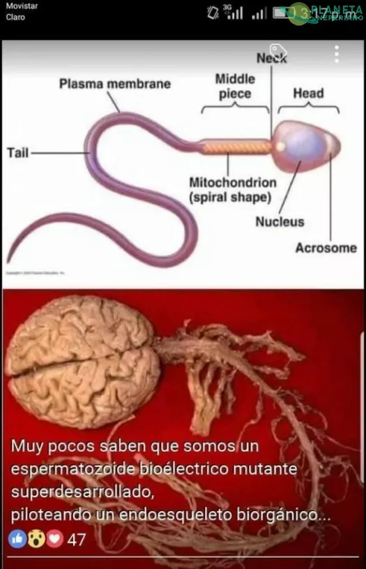 Suena muy system shock 2...