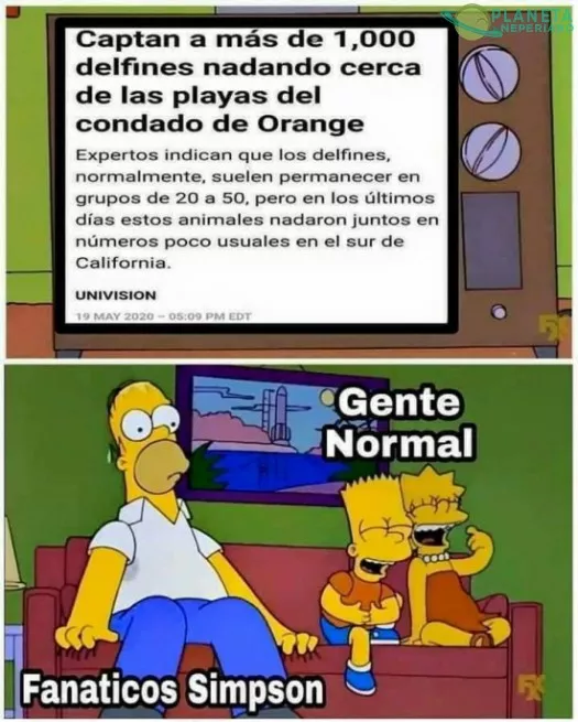 delfines... los bufones del oceano :v