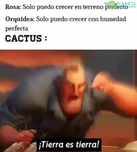 cuando tu vida es dificil