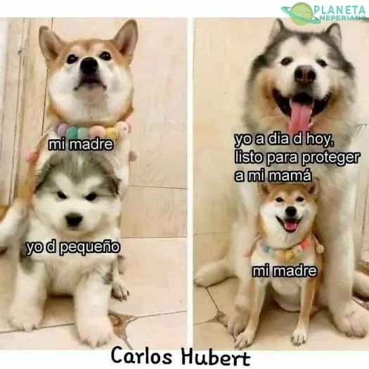 ahora  si en mi turno 