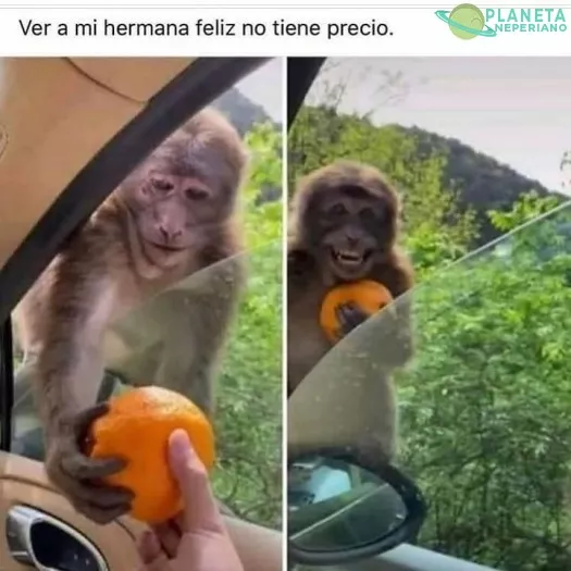 solo miralo