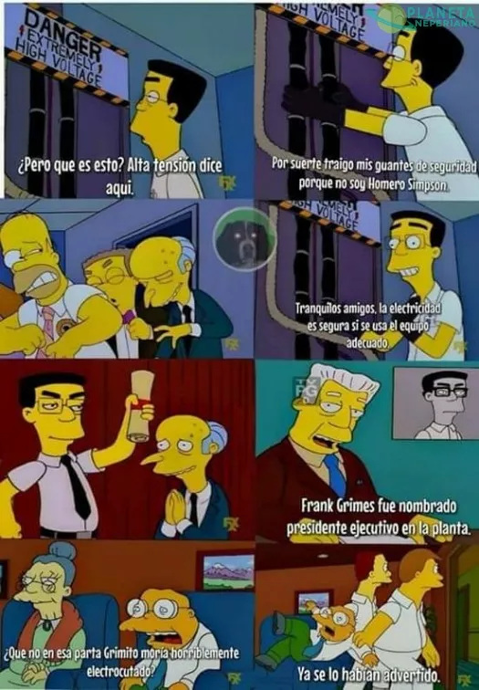 Por eso no hay que ser como Homero Simpson :v